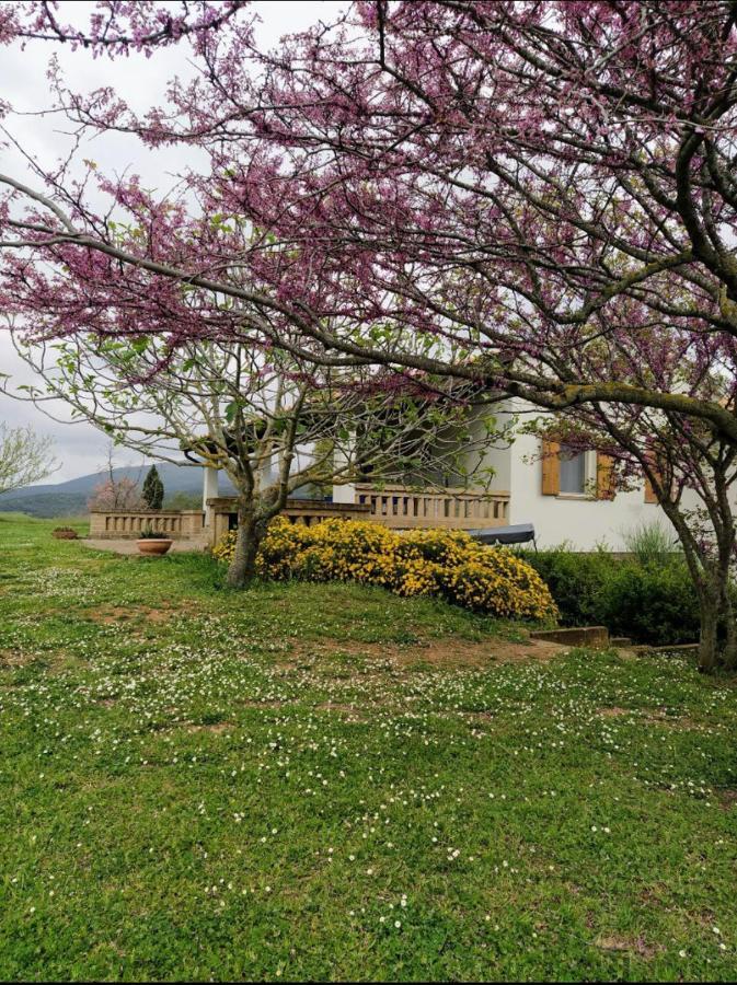 Bed and Breakfast Casale Artemisia Capalbio Zewnętrze zdjęcie
